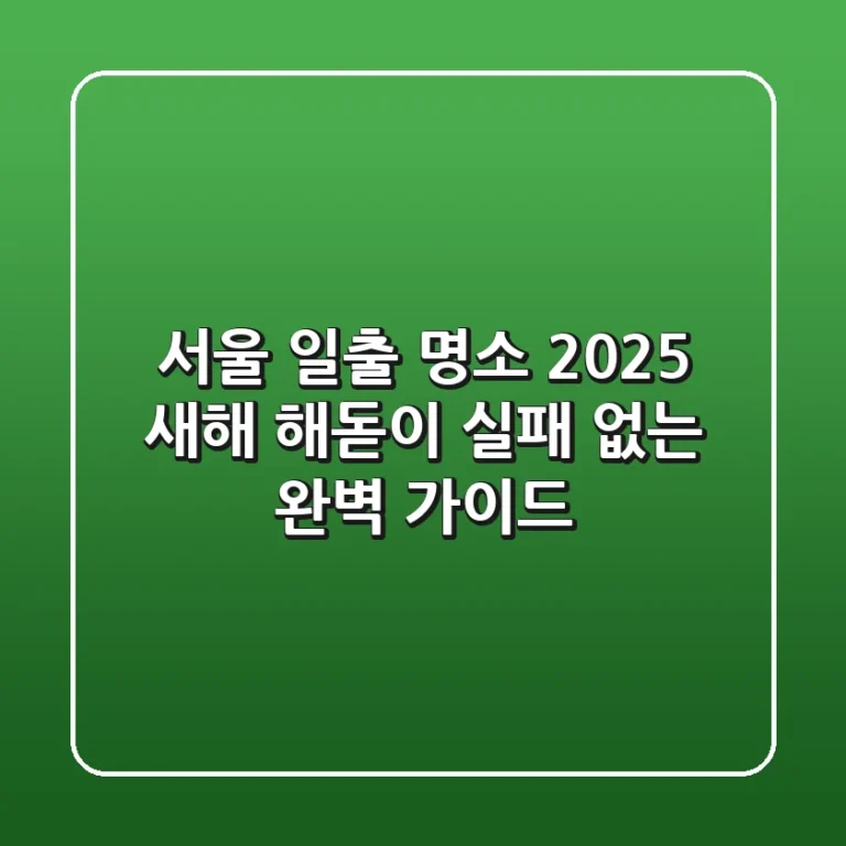 서울 일출 명소 2025: 새해 해돋이 실패 없는 완벽 가이드