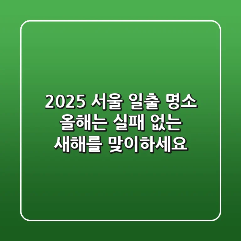 2025 서울 일출 명소, 올해는 '실패 없는' 새해를 맞이하세요!