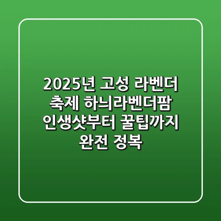 2025년 고성 라벤더 축제: 하늬라벤더팜 인생샷부터 꿀팁까지 완전 정복!