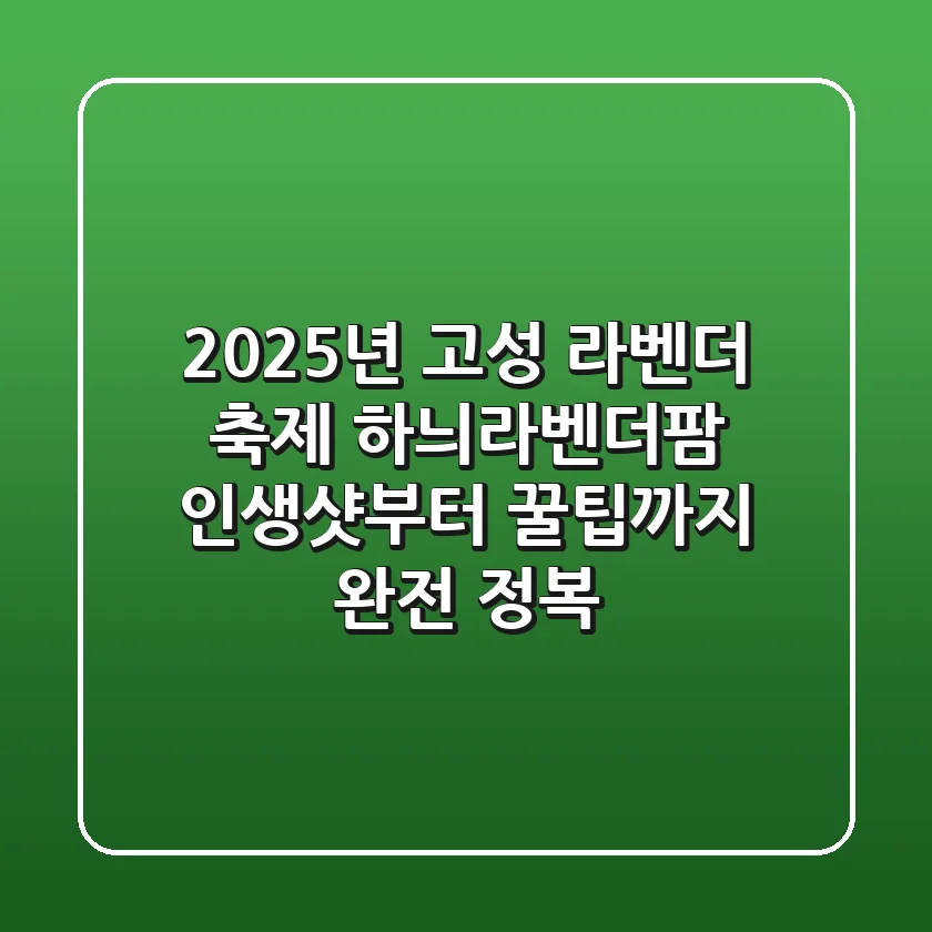 2025년 고성 라벤더 축제: 하늬라벤더팜 인생샷부터 꿀팁까지 완전 정복!