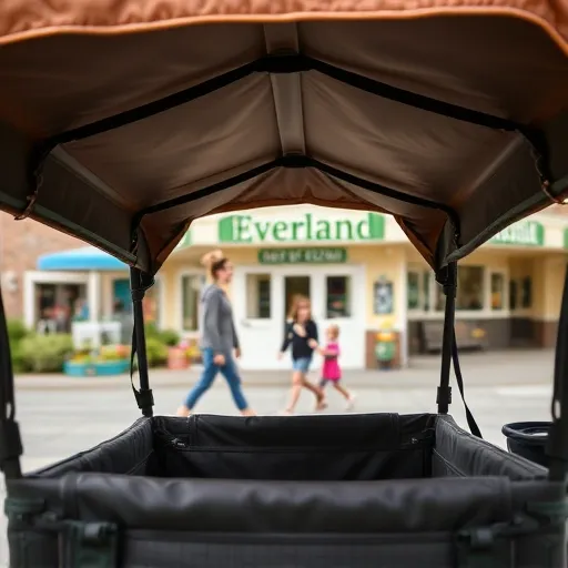 웨건과 함께 에버랜드 200% 즐기기! 숨겨진 꿀팁과 반납 노하우