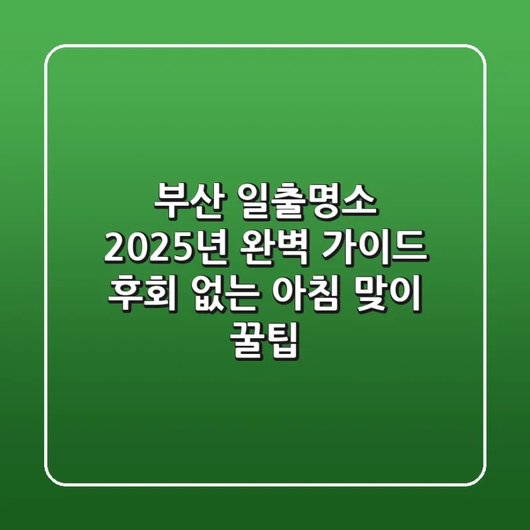 부산 일출명소, 2025년 완벽 가이드: 후회 없는 아침 맞이 꿀팁!