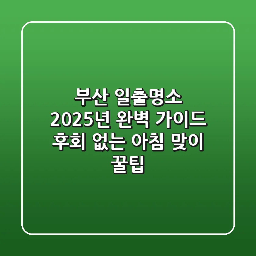 부산 일출명소, 2025년 완벽 가이드: 후회 없는 아침 맞이 꿀팁!