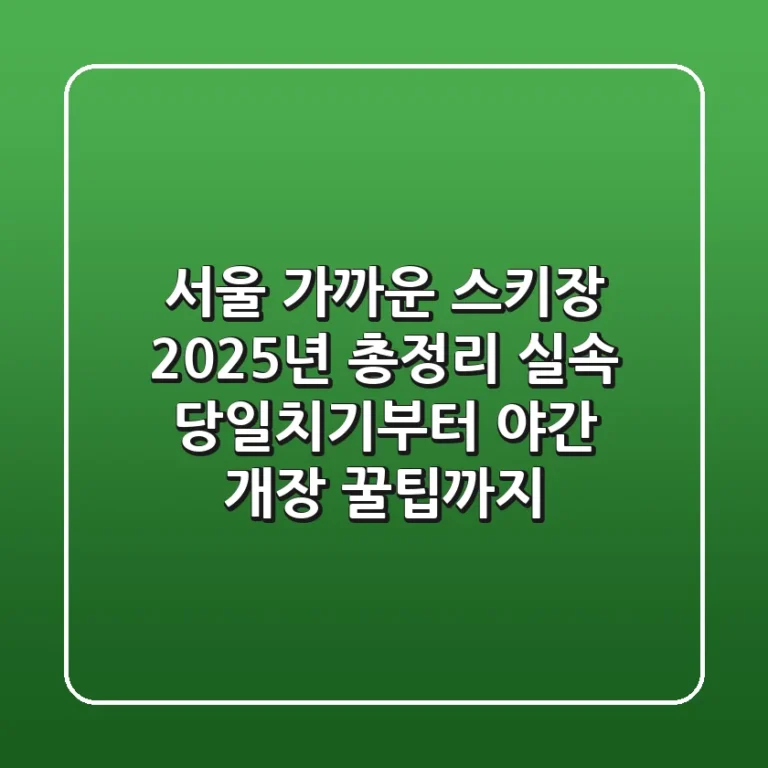 서울 가까운 스키장 2025년 총정리: 실속 당일치기부터 야간 개장 꿀팁까지!