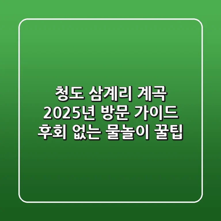 청도 삼계리 계곡, 2025년 방문 가이드: 후회 없는 물놀이 꿀팁