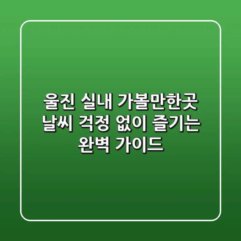 울진 실내 가볼만한곳, 날씨 걱정 없이 즐기는 완벽 가이드