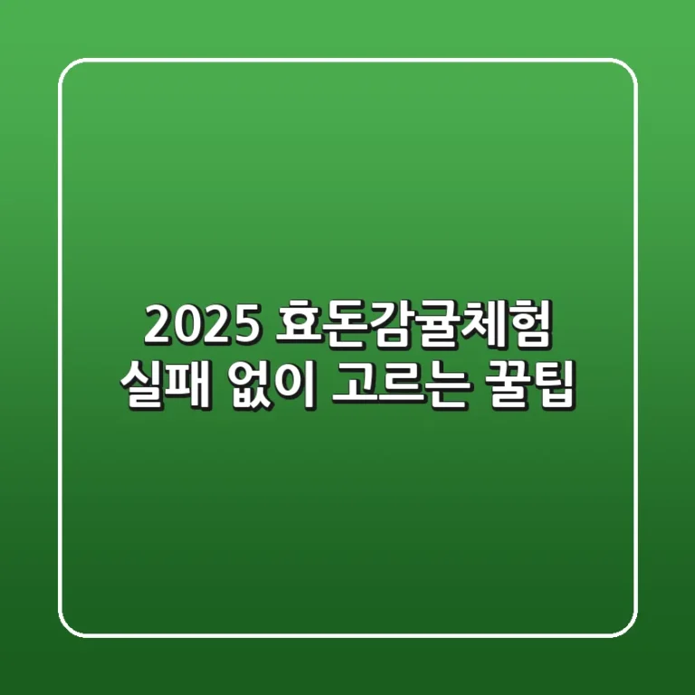 2025 효돈감귤체험, 실패 없이 고르는 꿀팁!