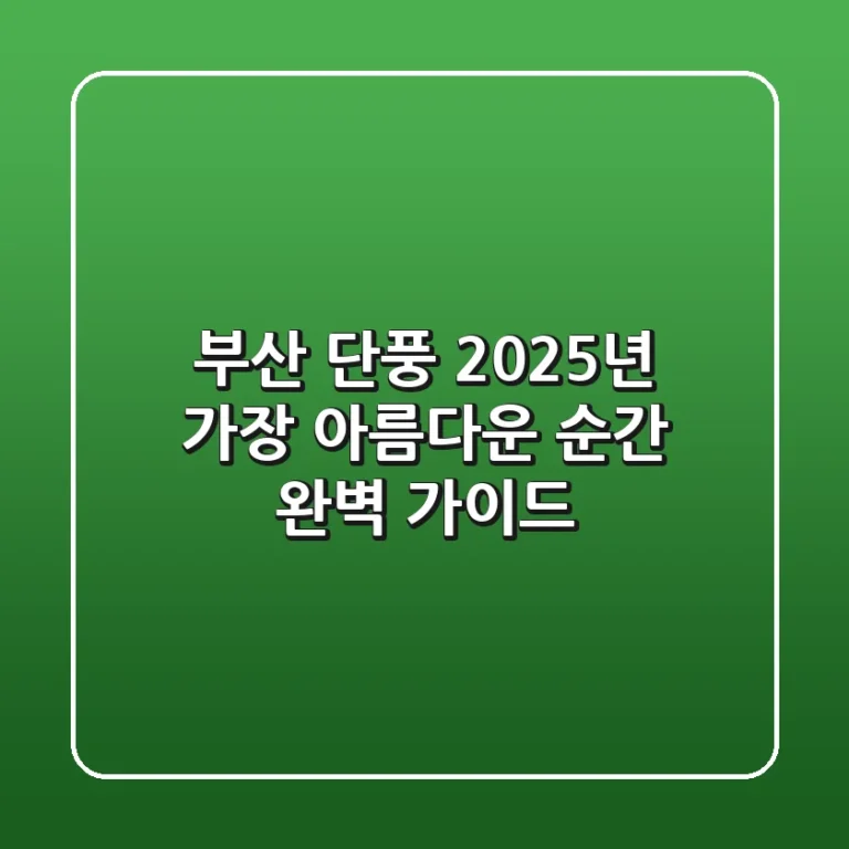 부산 단풍, 2025년 가장 아름다운 순간 완벽 가이드
