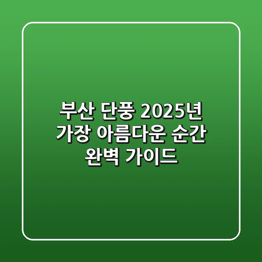 부산 단풍, 2025년 가장 아름다운 순간 완벽 가이드
