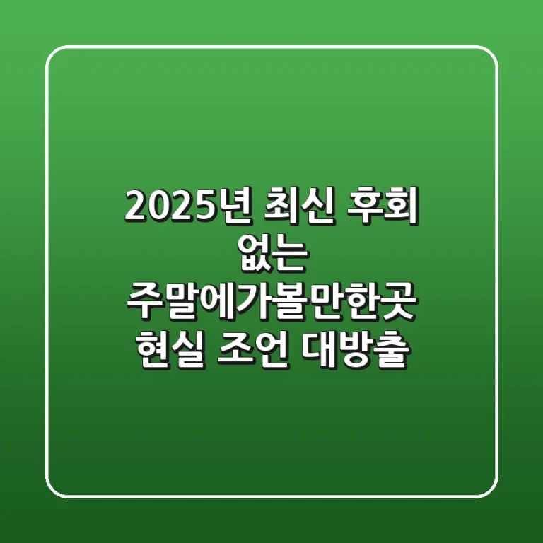 2025년 최신! 후회 없는 주말에가볼만한곳, 현실 조언 대방출