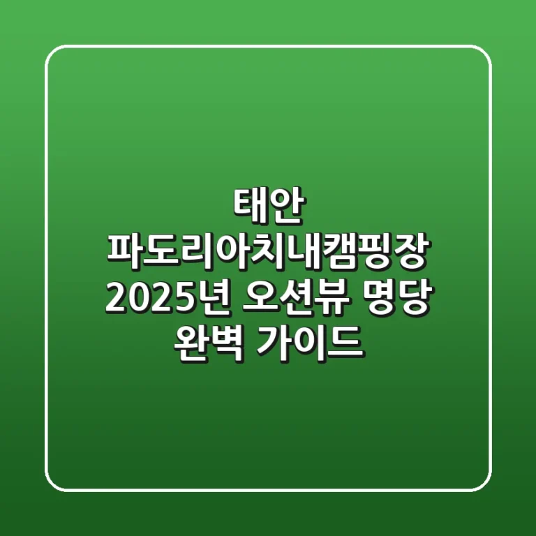 태안 파도리아치내캠핑장, 2025년 오션뷰 명당 완벽 가이드