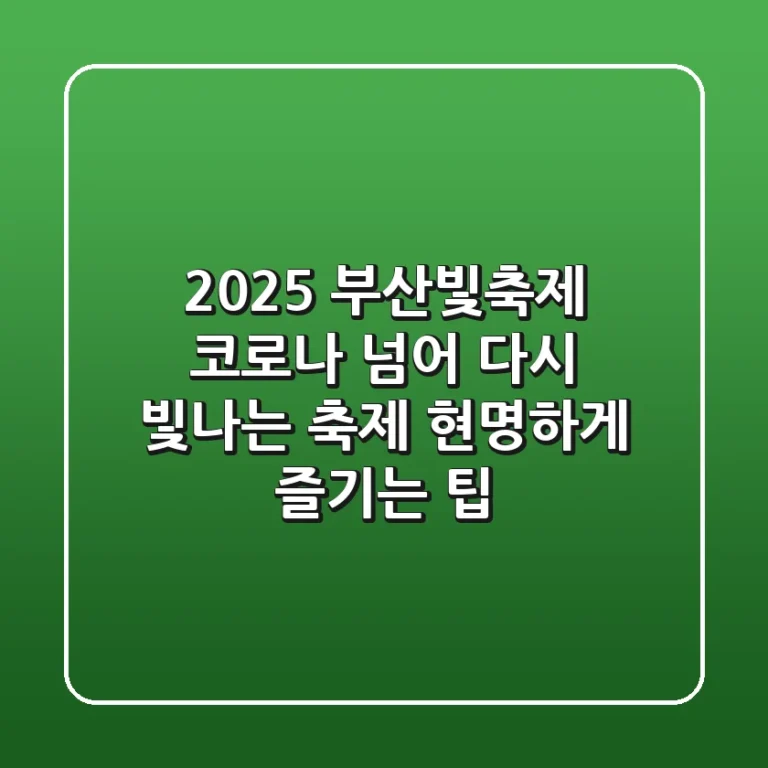 2025 부산빛축제, 코로나 넘어 다시 빛나는 축제: 현명하게 즐기는 팁