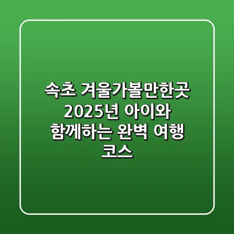 속초 겨울가볼만한곳 | 2025년 아이와 함께하는 완벽 여행 코스