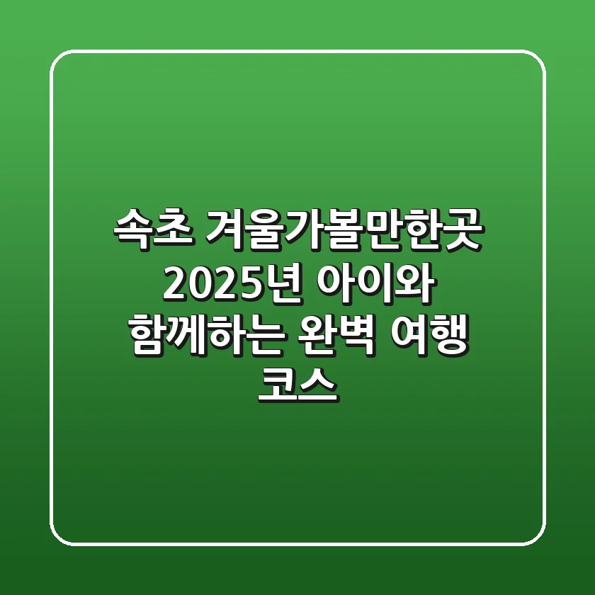 속초 겨울가볼만한곳 | 2025년 아이와 함께하는 완벽 여행 코스