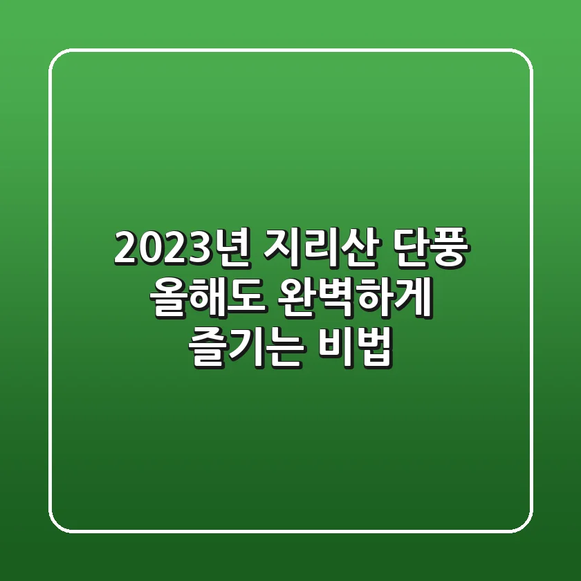 2023년 지리산 단풍, 올해도 완벽하게 즐기는 비법