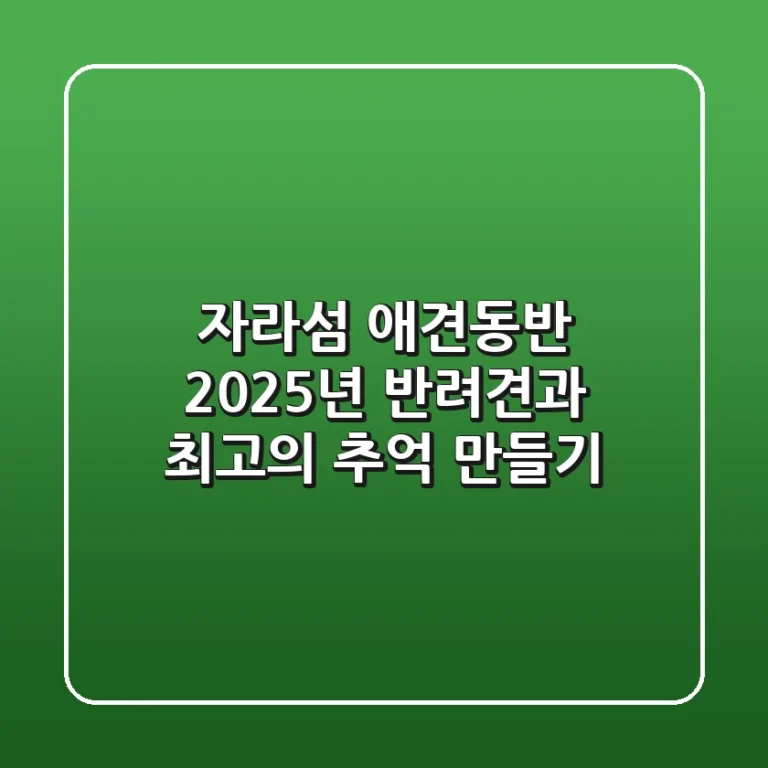 자라섬 애견동반, 2025년 반려견과 최고의 추억 만들기
