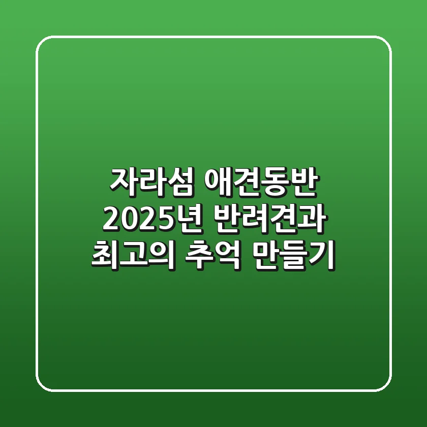 자라섬 애견동반, 2025년 반려견과 최고의 추억 만들기