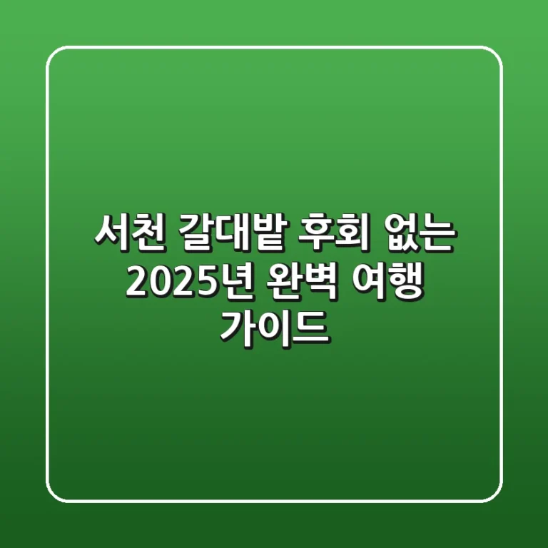 서천 갈대밭, 후회 없는 2025년 완벽 여행 가이드