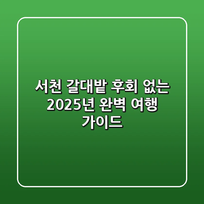 서천 갈대밭, 후회 없는 2025년 완벽 여행 가이드