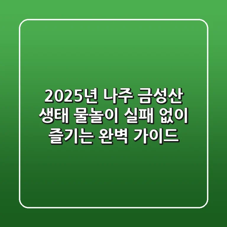 2025년 나주 금성산 생태 물놀이, 실패 없이 즐기는 완벽 가이드!
