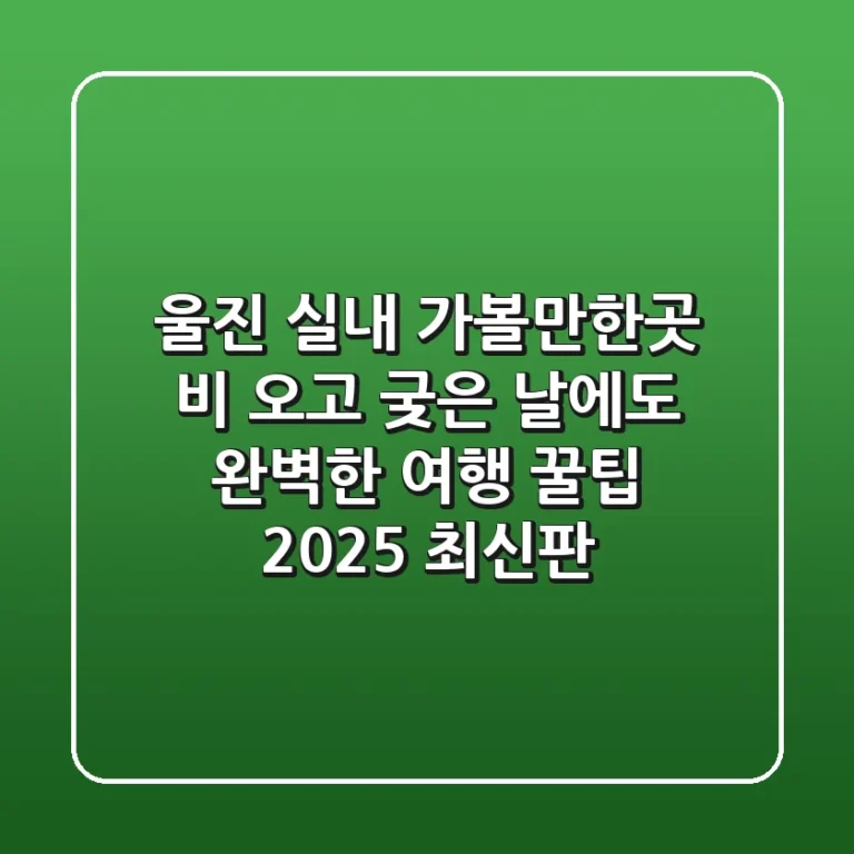 울진 실내 가볼만한곳: 비 오고 궂은 날에도 완벽한 여행 꿀팁 (2025 최신판)