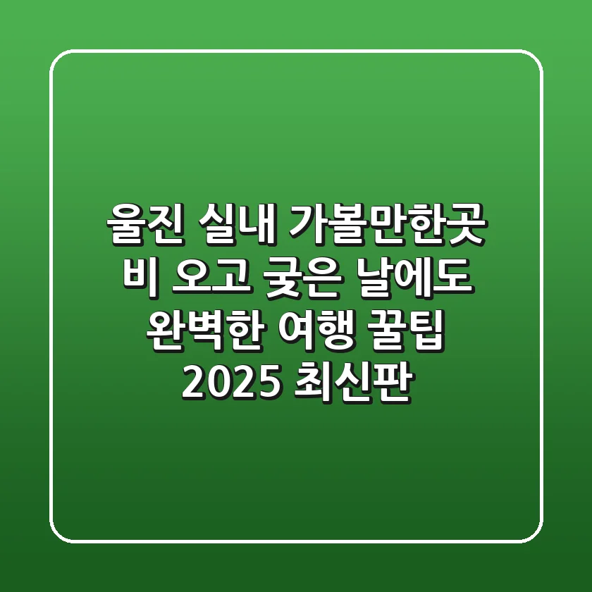 울진 실내 가볼만한곳: 비 오고 궂은 날에도 완벽한 여행 꿀팁 (2025 최신판)