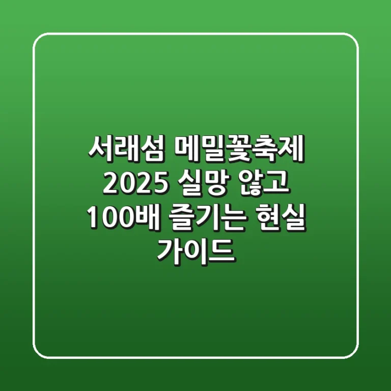 서래섬 메밀꽃축제 2025, 실망 않고 100배 즐기는 현실 가이드