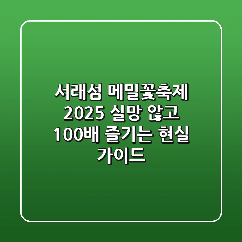 서래섬 메밀꽃축제 2025, 실망 않고 100배 즐기는 현실 가이드