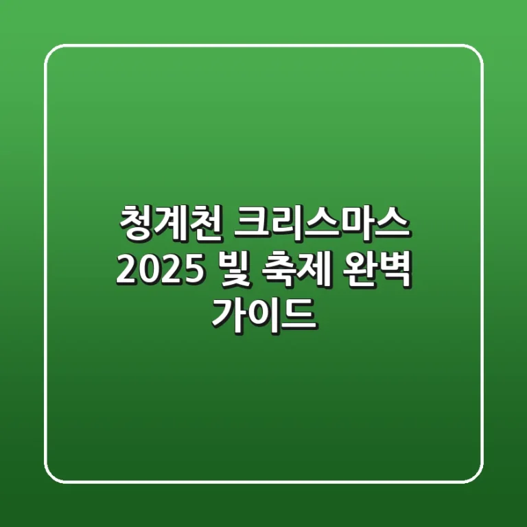 청계천 크리스마스 2025, 빛 축제 완벽 가이드!