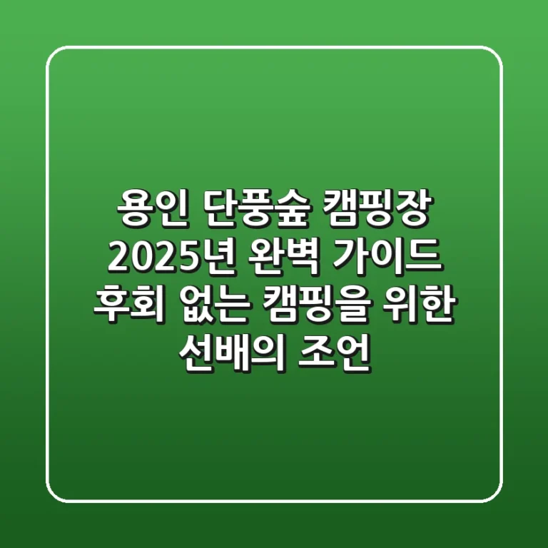 용인 단풍숲 캠핑장, 2025년 완벽 가이드: 후회 없는 캠핑을 위한 선배의 조언