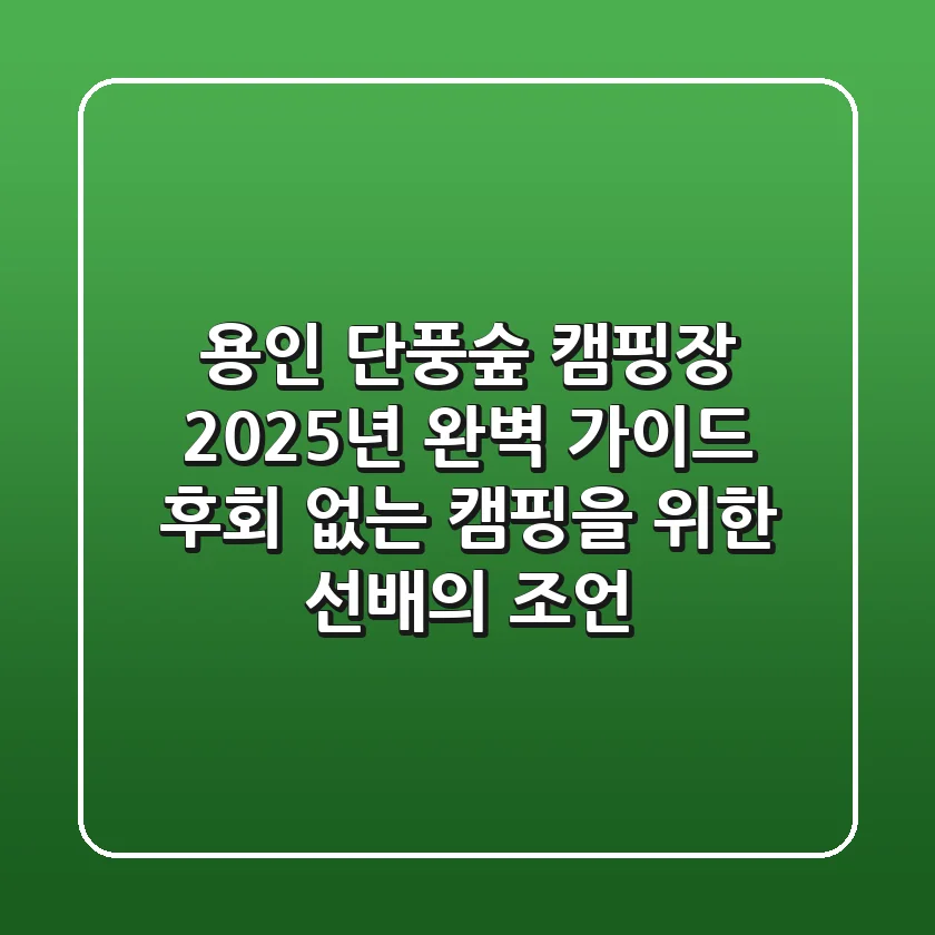 용인 단풍숲 캠핑장, 2025년 완벽 가이드: 후회 없는 캠핑을 위한 선배의 조언