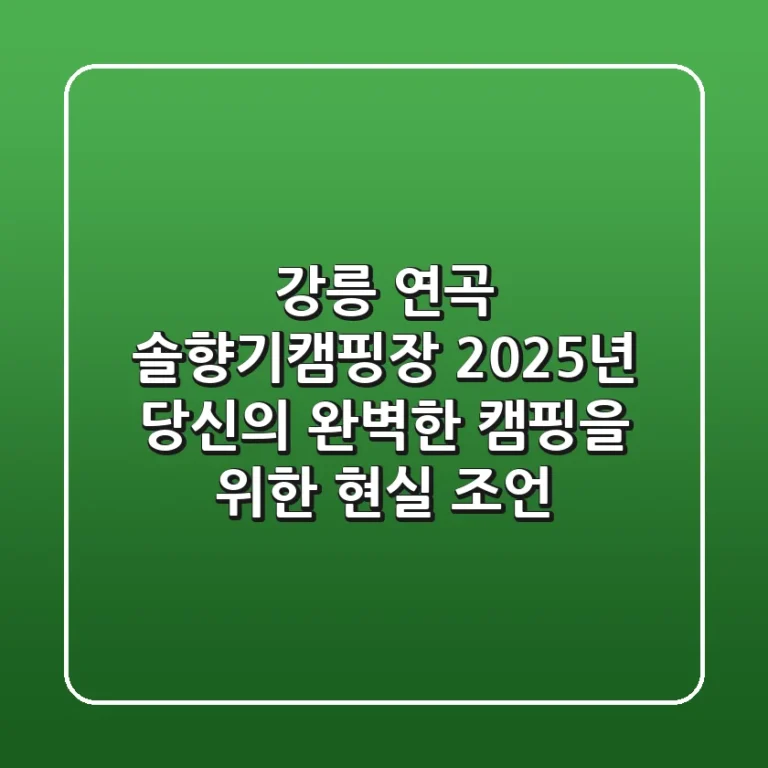 강릉 연곡 솔향기캠핑장: 2025년 당신의 완벽한 캠핑을 위한 현실 조언