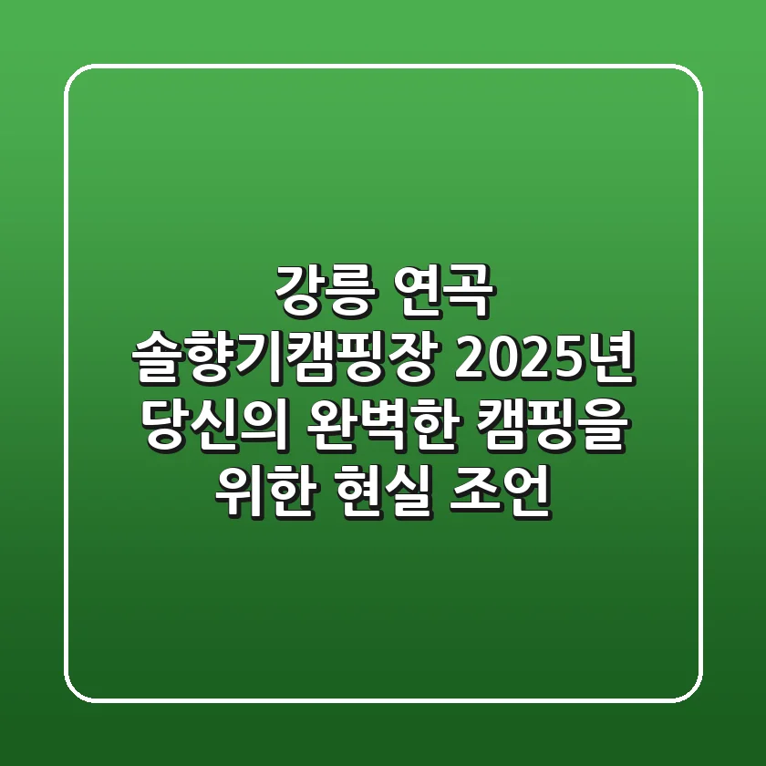 강릉 연곡 솔향기캠핑장: 2025년 당신의 완벽한 캠핑을 위한 현실 조언