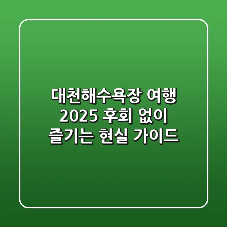 대천해수욕장 여행 2025, 후회 없이 즐기는 현실 가이드