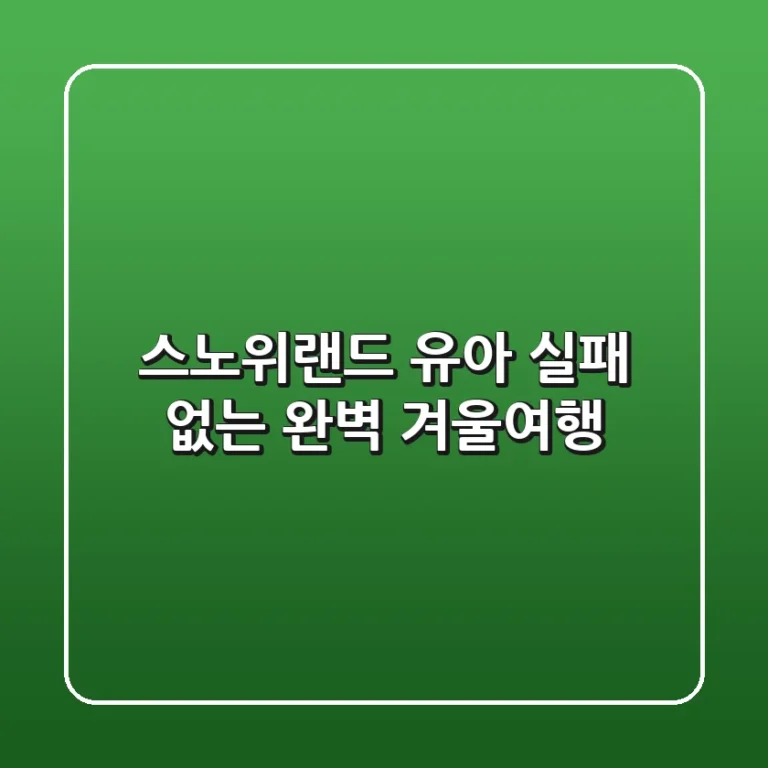 스노위랜드 유아: 실패 없는 완벽 겨울여행!
