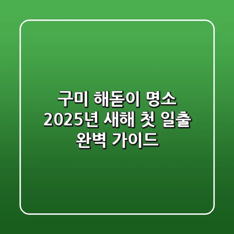 구미 해돋이 명소, 2025년 새해 첫 일출 완벽 가이드