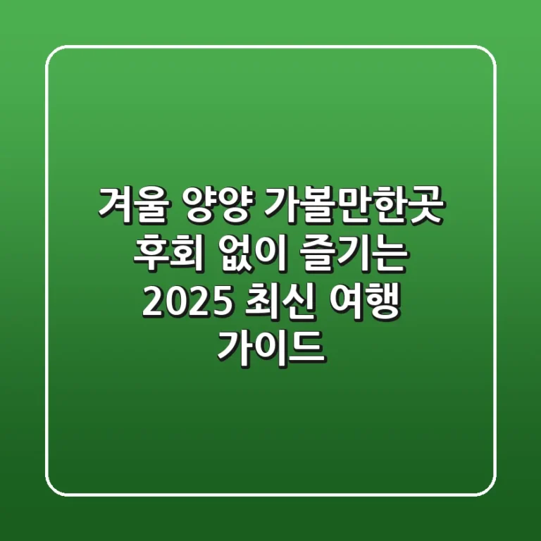겨울 양양 가볼만한곳, 후회 없이 즐기는 2025 최신 여행 가이드