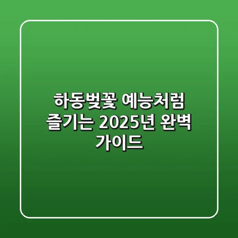 하동벚꽃 예능처럼 즐기는 2025년 완벽 가이드