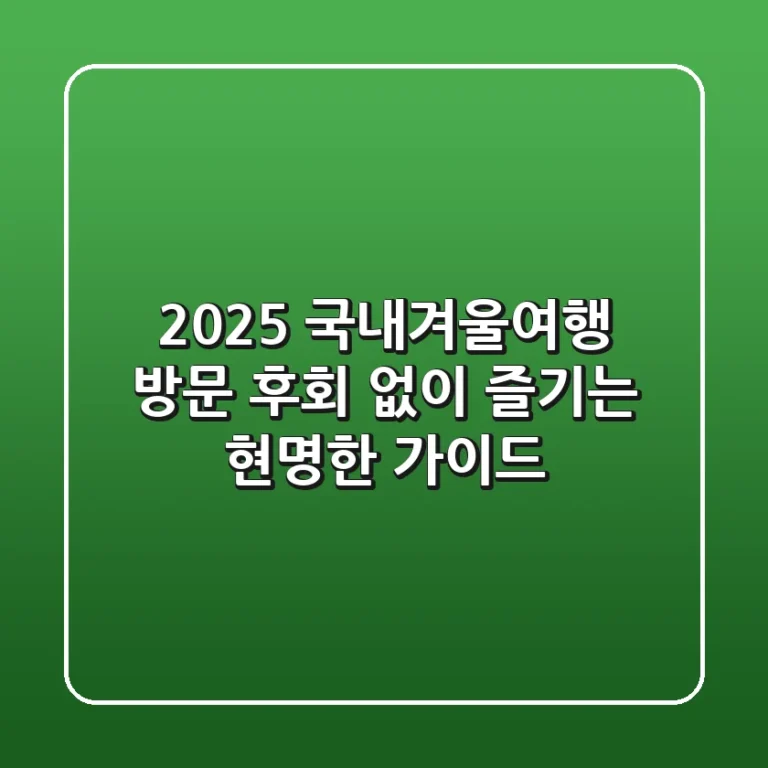 2025 국내겨울여행 방문, 후회 없이 즐기는 현명한 가이드