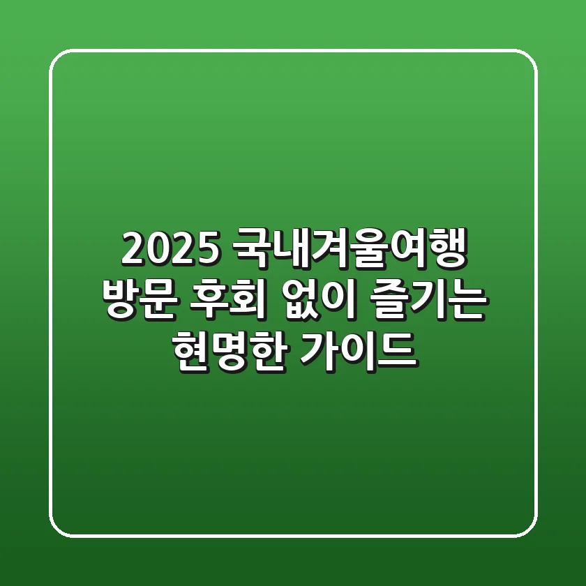 2025 국내겨울여행 방문, 후회 없이 즐기는 현명한 가이드