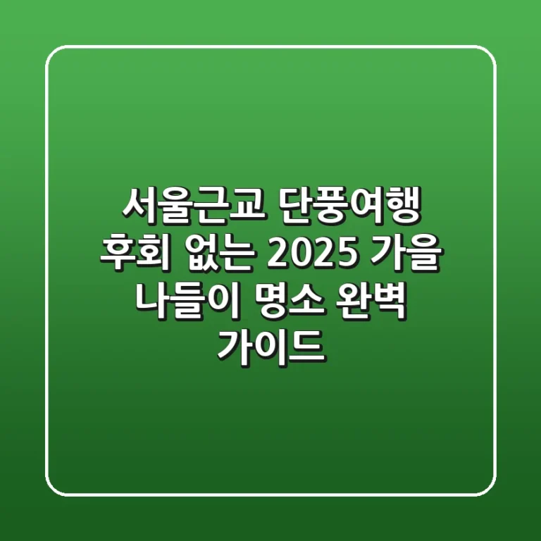 서울근교 단풍여행, 후회 없는 2025 가을 나들이 명소 완벽 가이드