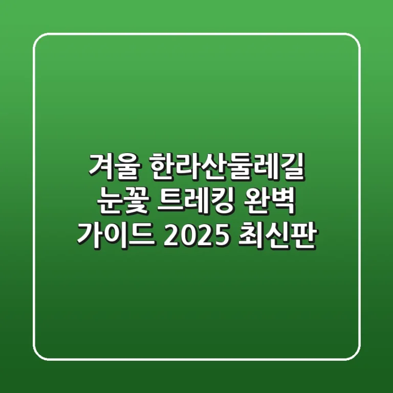 겨울 한라산둘레길, 눈꽃 트레킹 완벽 가이드 (2025 최신판)