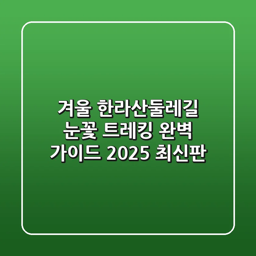겨울 한라산둘레길, 눈꽃 트레킹 완벽 가이드 (2025 최신판)