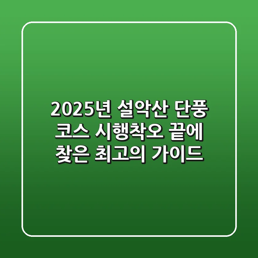 2025년 설악산 단풍 코스: 시행착오 끝에 찾은 최고의 가이드!