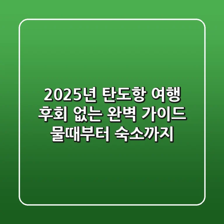 2025년 탄도항 여행, 후회 없는 완벽 가이드: 물때부터 숙소까지