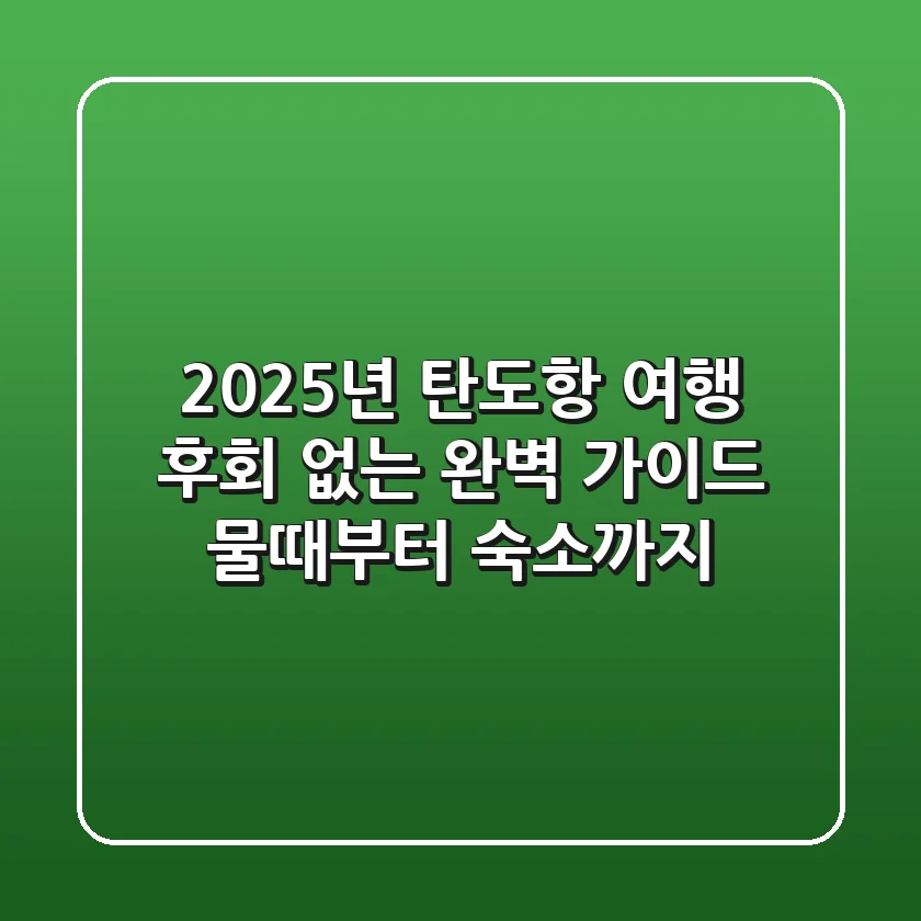 2025년 탄도항 여행, 후회 없는 완벽 가이드: 물때부터 숙소까지