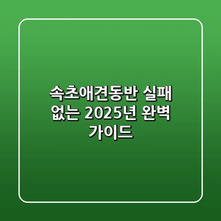 속초애견동반, 실패 없는 2025년 완벽 가이드