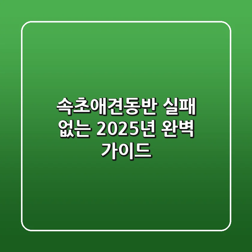 속초애견동반, 실패 없는 2025년 완벽 가이드