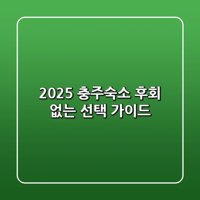 2025 충주숙소, 후회 없는 선택 가이드