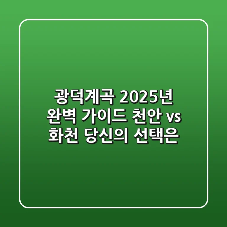 광덕계곡 2025년 완벽 가이드: 천안 vs. 화천, 당신의 선택은?